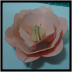 薔薇